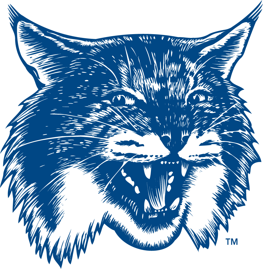 New Hampshire Wildcats 1993-2000 Secondary Logo v3 diy iron on heat transfer